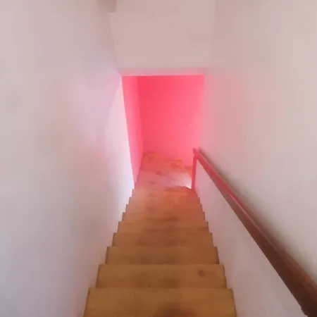 Fleur * Salles-Curan