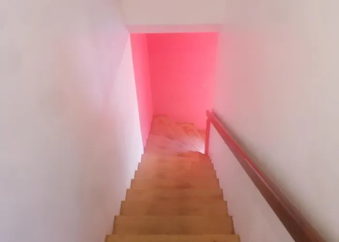 Fleur * Salles-Curan