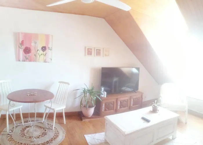 Appartement Fleur Salles-Curan