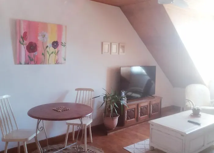 Fleur * Salles-Curan