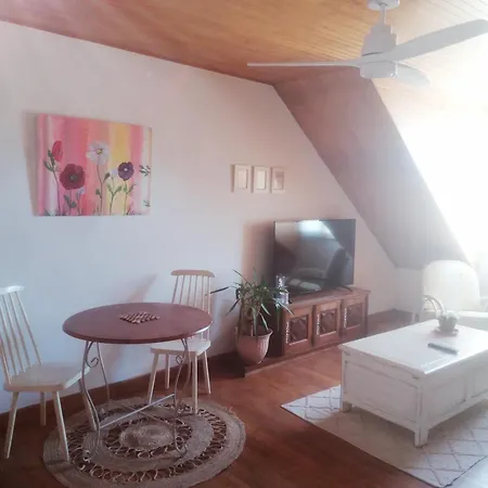 Fleur * Salles-Curan